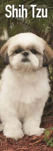 SHIH TZU S 2020 de Avonside Publishing Ltd