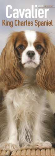 CAVALIER KING CHARLES SPANIEL SLIM CALEN