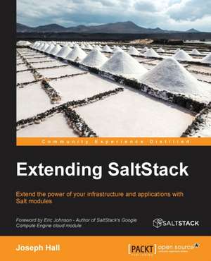 Extending Saltstack de Joseph Hall