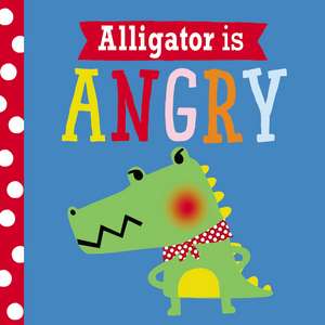 Playdate Pals Alligator Is Angry de Ltd. Make Believe Ideas