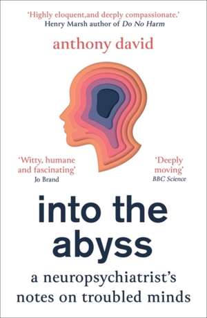 Into the Abyss de Anthony David