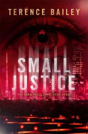 Small Justice de Terence Bailey