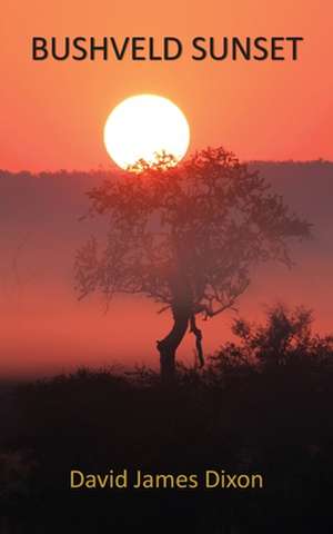 Bushveld Sunset de David James Dixon