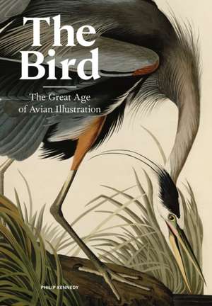 Bird: The Great Age of Avian Illustration de Philip Kennedy