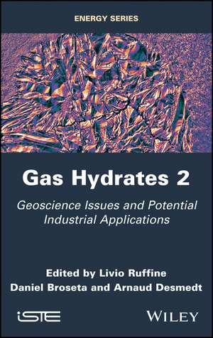 Gas Hydrates 2 de L Ruffine