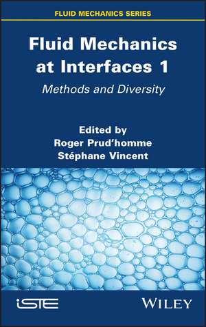 Fluid Mechanics at Interfaces Volume 1 – Methods and Diversity de R Prudhomme