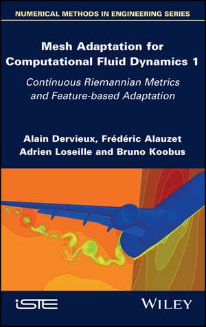 Mesh Adaptation for Computational Fluid Dynamics – Continuous Riemannian Metrics and Feature–based Adaptation, Volume 1 de A Dervieux