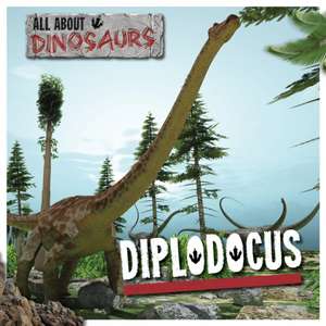 Diplodocus de Amy Allaston