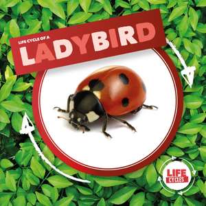 Ladybird de Kirsty Holmes