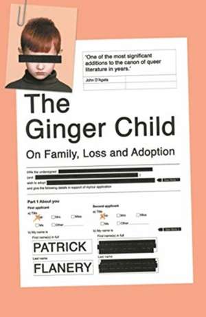 The Ginger Child de Patrick Flanery