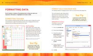 Microsoft Excel Basics: Expert Advice, Made Easy de Roger Laing