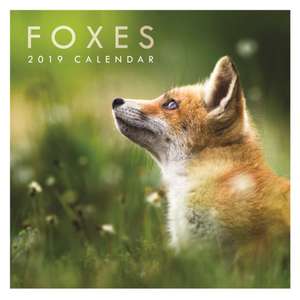 FOXES W 2019