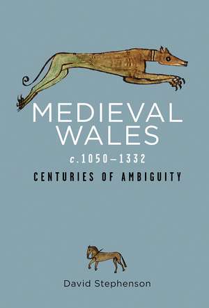 Medieval Wales c.1050–1332: Centuries of Ambiguity de David Stephenson