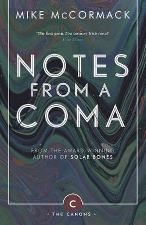 Notes from a Coma de Mike Mccormack