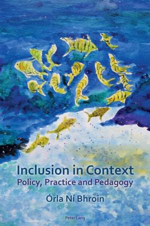 Inclusion in Context de Orla Ni Bhroin