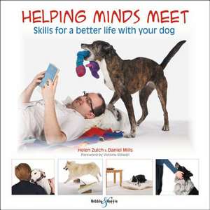 Helping Minds Meet de Helen Zulch