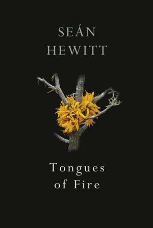 Tongues of Fire de Sean Hewitt