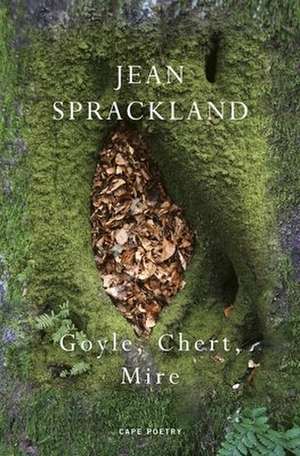 Goyle, Chert, Mire de Jean Sprackland