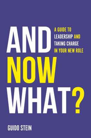 And Now What? – A Guide to Leadership and Taking Charge in Your New Role de Guido Stein