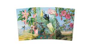 Kew Gardens' Marianne North Set of 3 Mini Notebooks de Flame Tree Studio