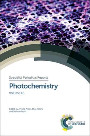 Photochemistry de Angelo Albini