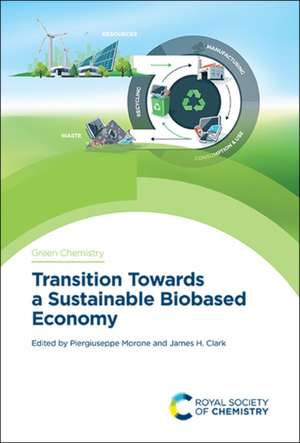 Transition Towards a Sustainable Biobased Economy de Piergiuseppe Morone