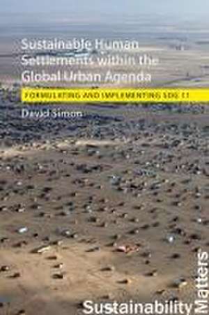 Sustainable Human Settlements within the Global Urban Agenda de David Simon