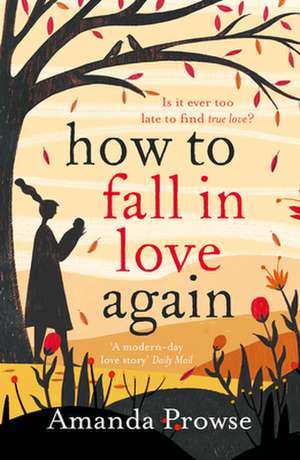 How to Fall in Love Again: Kitty's Story de Amanda Prowse