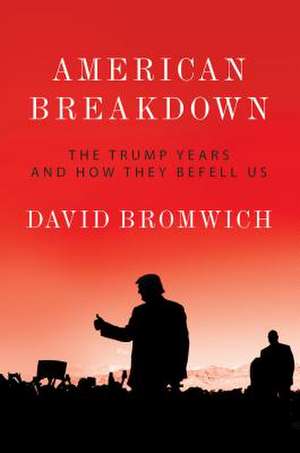 American Breakdown: The Trump Years and How They Befell Us de David Bromwich