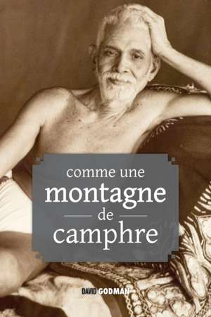 Comme une montagne de camphre de David Godman