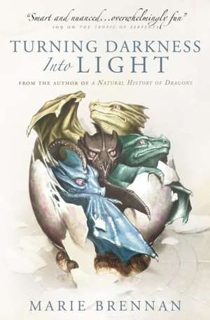 Turning Darkness into Light de Marie Brennan