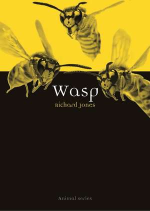 Wasp de Richard Jones