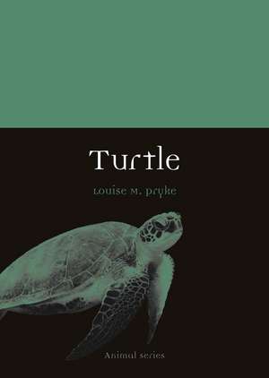 Turtle de Louise M. Pryke