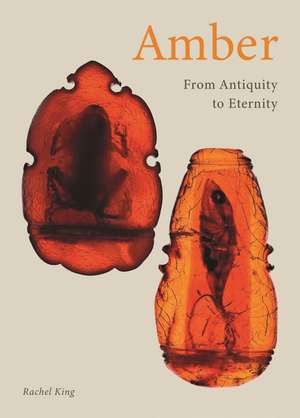 Amber: From Antiquity to Eternity de Rachel King