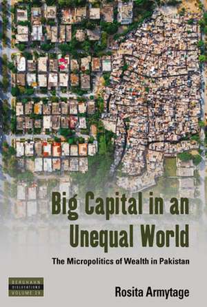 Big Capital in an Unequal World de Rosita Armytage