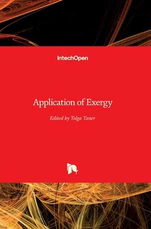 Application of Exergy de Tolga Taner