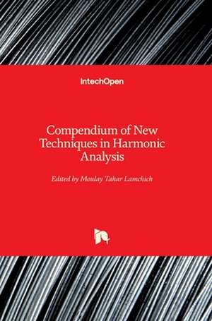 Compendium of New Techniques in Harmonic Analysis de Moulay Tahar Lamchich