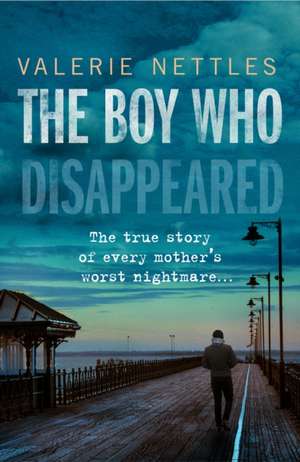 The Boy Who Disappeared de Valerie Nettles