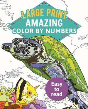 Amazing Color by Numbers Large Print de Arcturus Publishing Limited