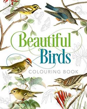 Gray, P: Beautiful Birds Colouring Book de Peter Gray