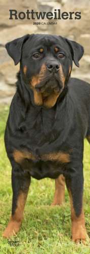 Rottweilers 2020 - Rottweiler Slimline-Kalender de BROWNTROUT UK