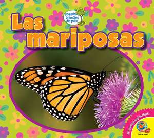 Las Mariposas de Heather Kissock