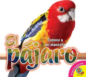 El Pájaro de Jared Siemens