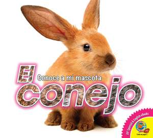 El Conejo (Rabbit) de Jared Siemens