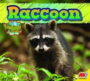 Raccoon de Jordan McGill