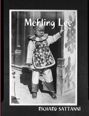 MEHLING LEE de Richard Sattanni