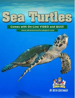 Sea Turtles de Beth Costanzo