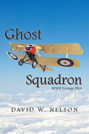 Ghost Squadron de David W Nelson