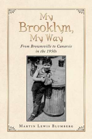 My Brooklyn, My Way de Martin Lewis Blumberg