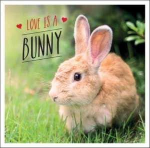 Love is a Bunny de Charlie Ellis